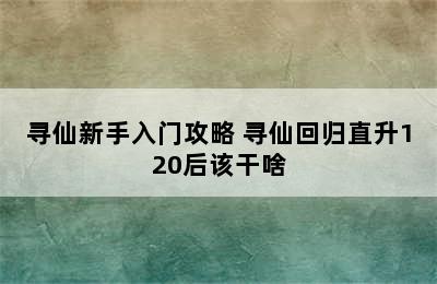 寻仙新手入门攻略 寻仙回归直升120后该干啥